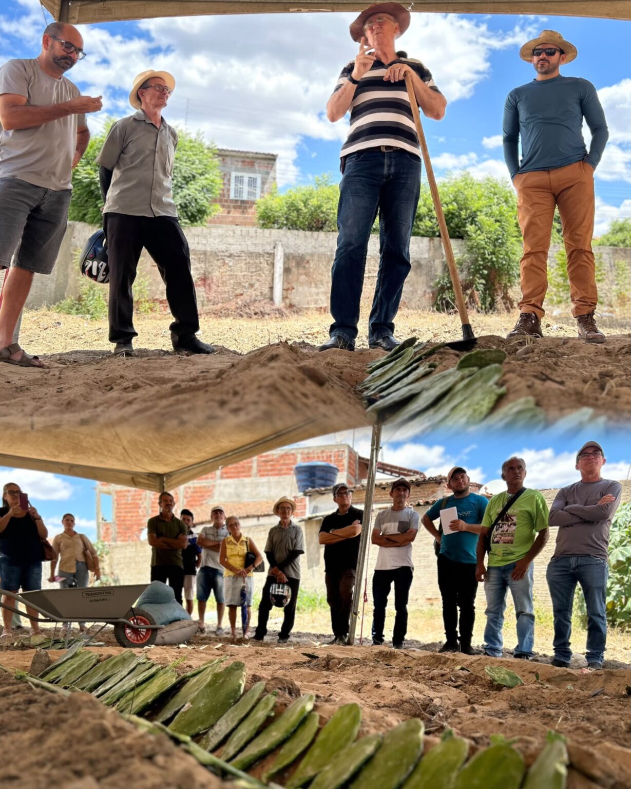 Prefeitura de Afogados promoveu seminário sobre novas técnicas para o cultivo da palma
