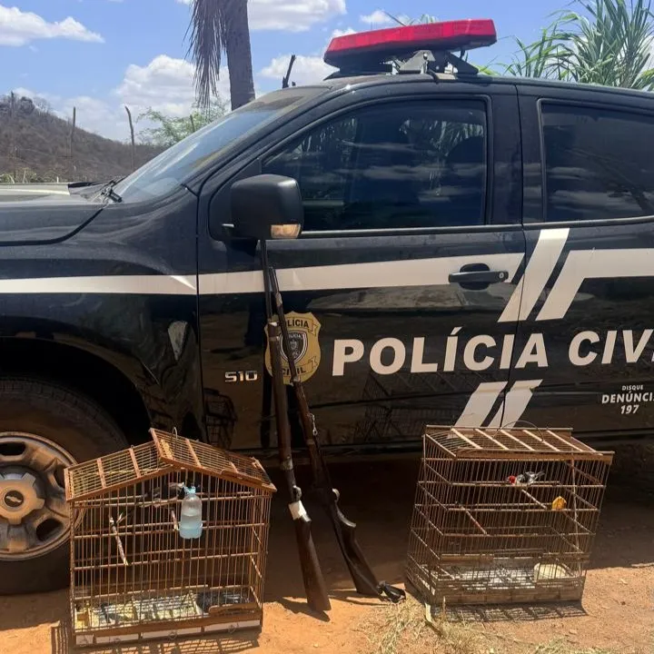 Operação Pugnas apreende aves silvestres e armas durante ação em Tavares